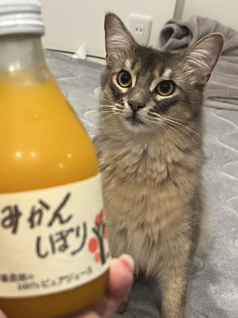 写メ