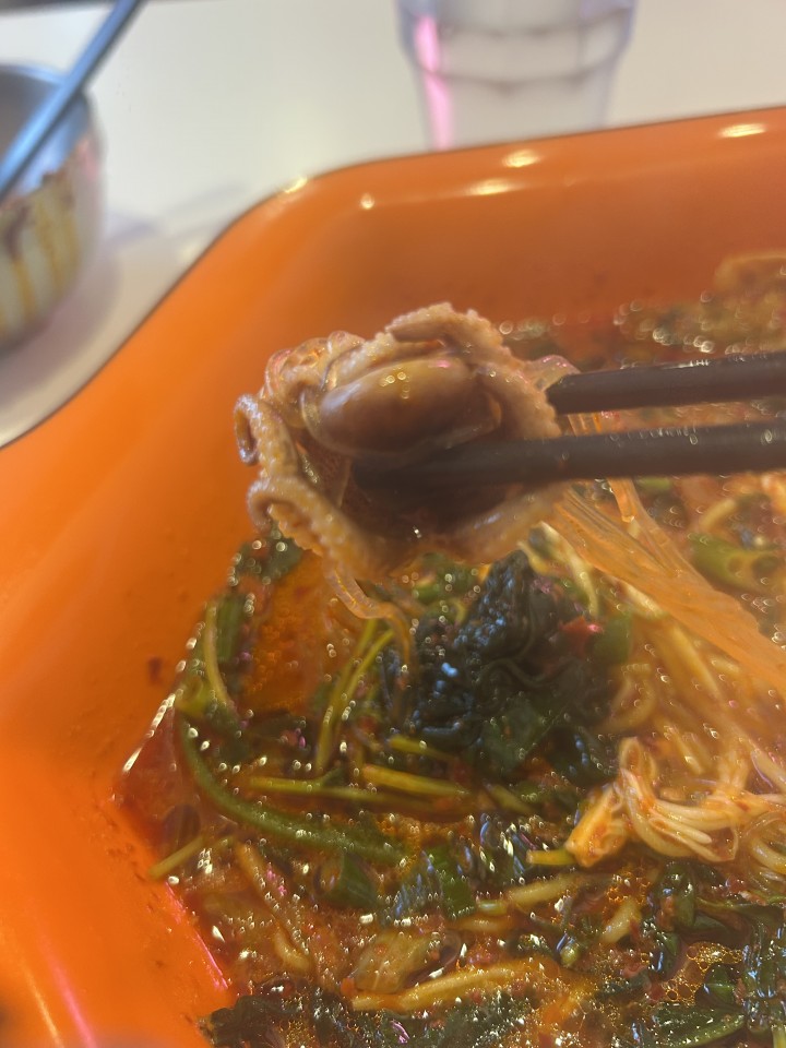 アップロード画像