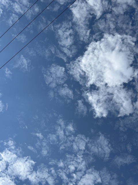 写メ