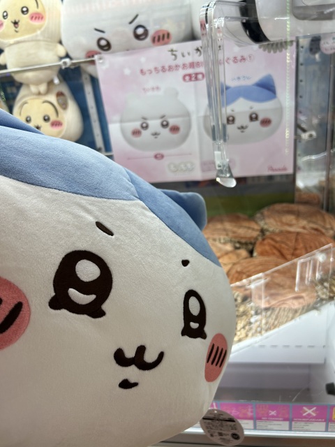 写メ