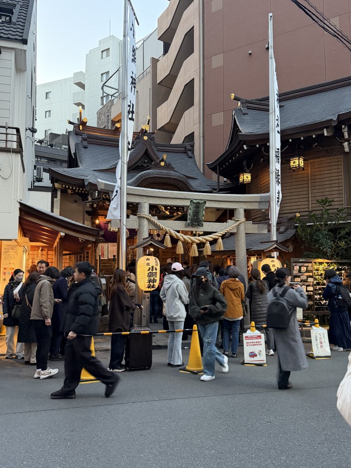 アップロード画像