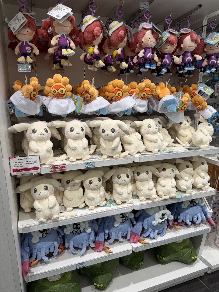 アップロード画像