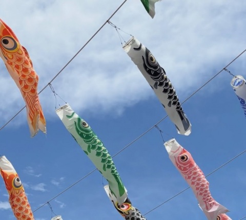 写メ