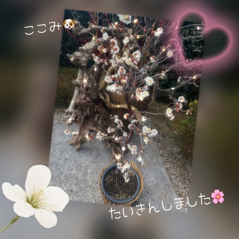 写メ