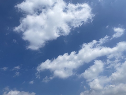 写メ
