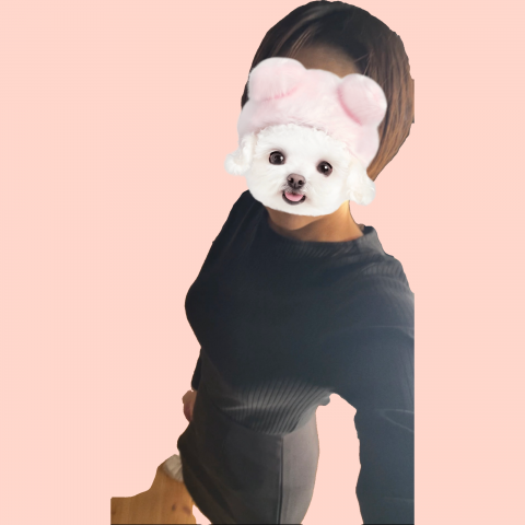 写メ