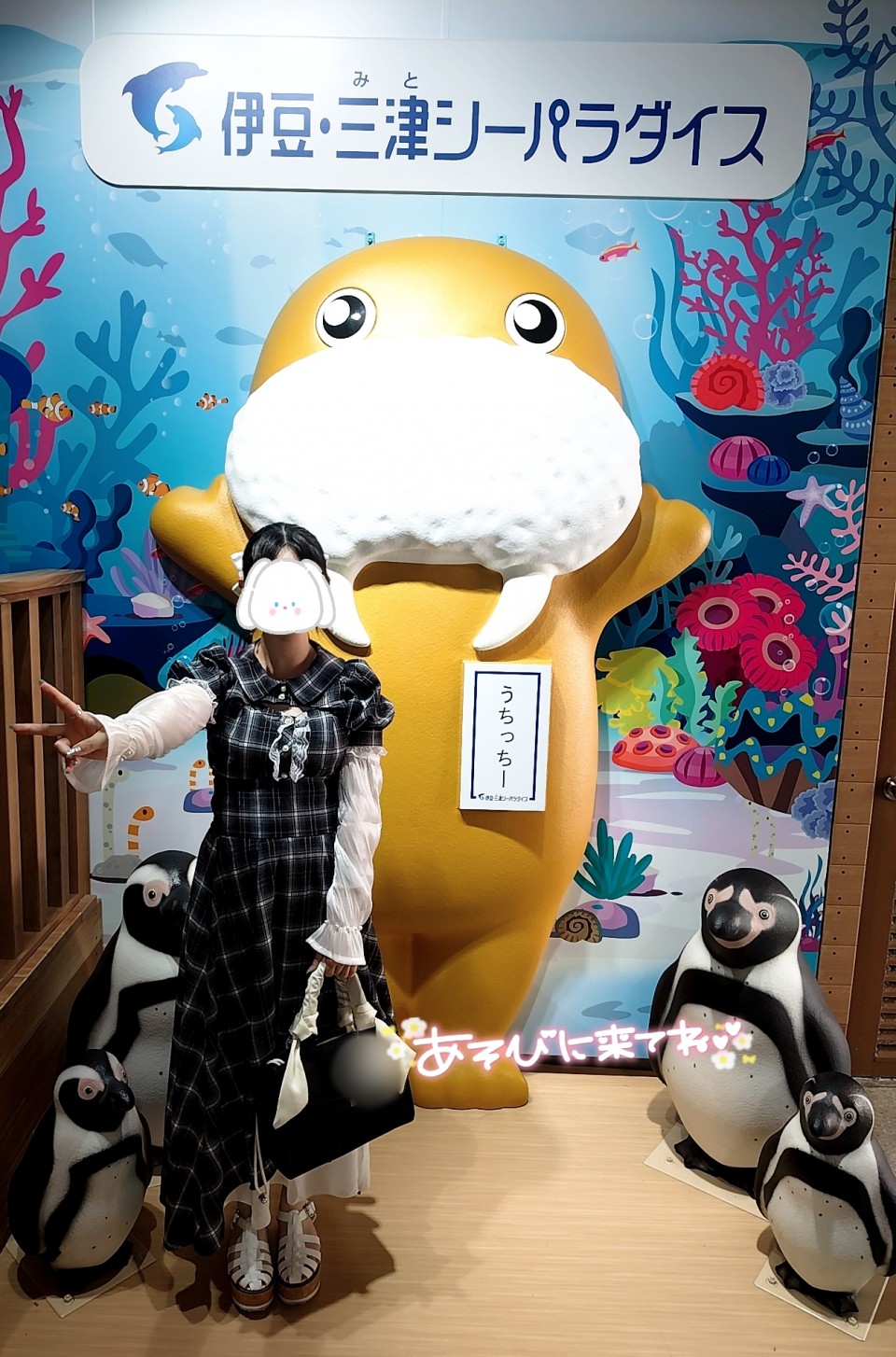 写メ