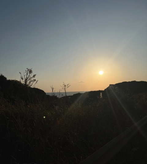 写メ