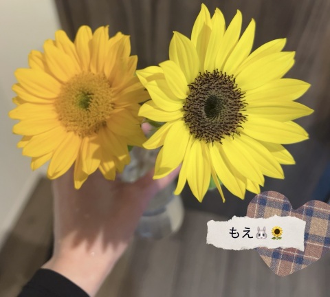 写メ