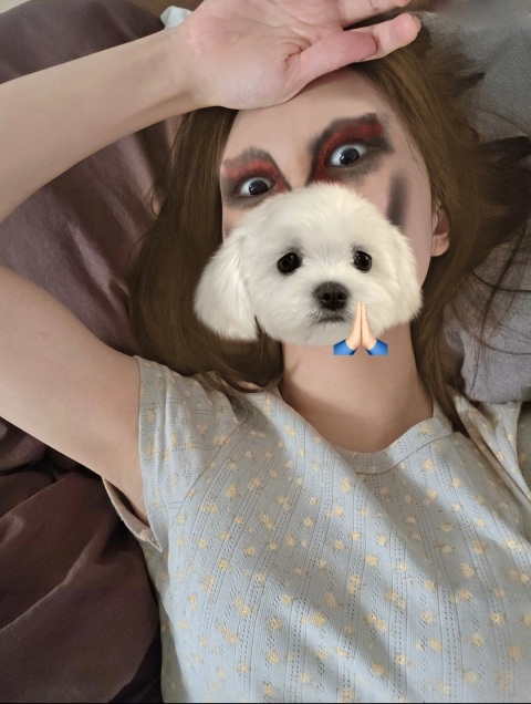 写メ