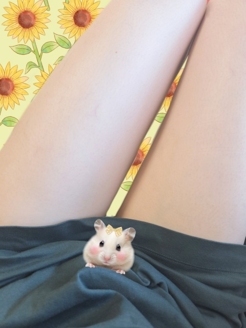 写メ