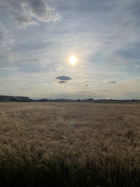 写メ