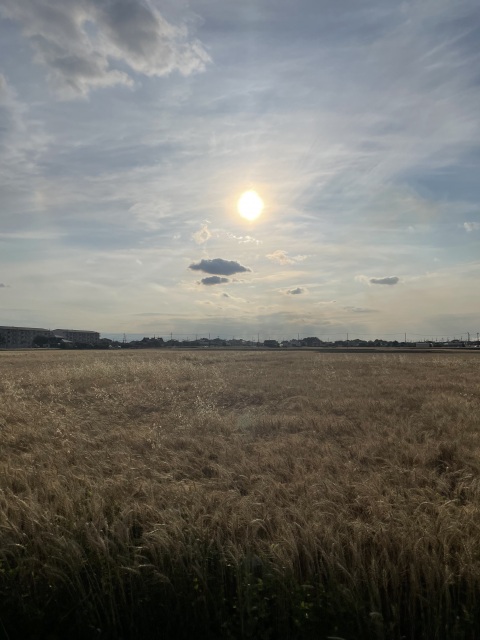 写メ