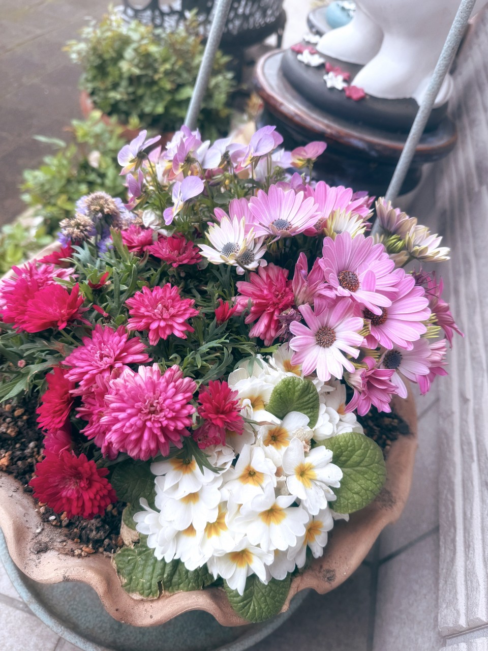 アップロード画像