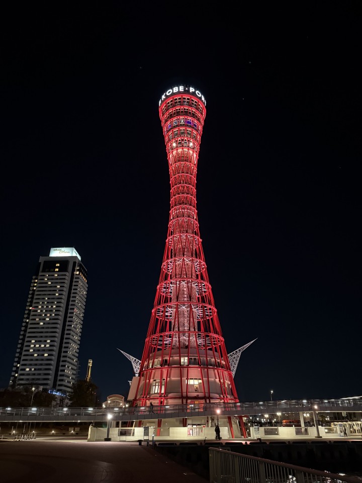 アップロード画像