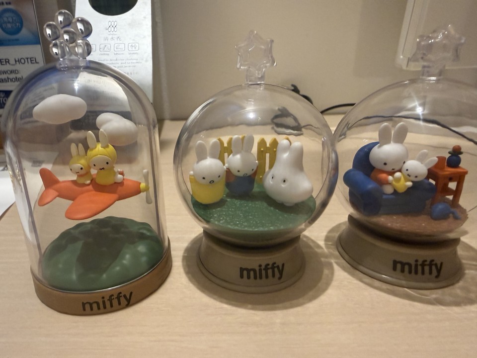 アップロード画像