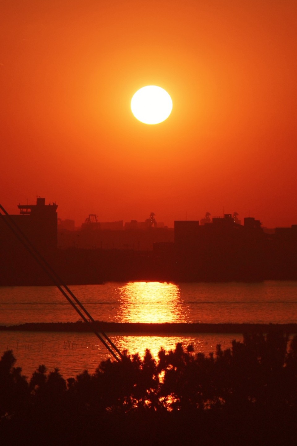 アップロード画像