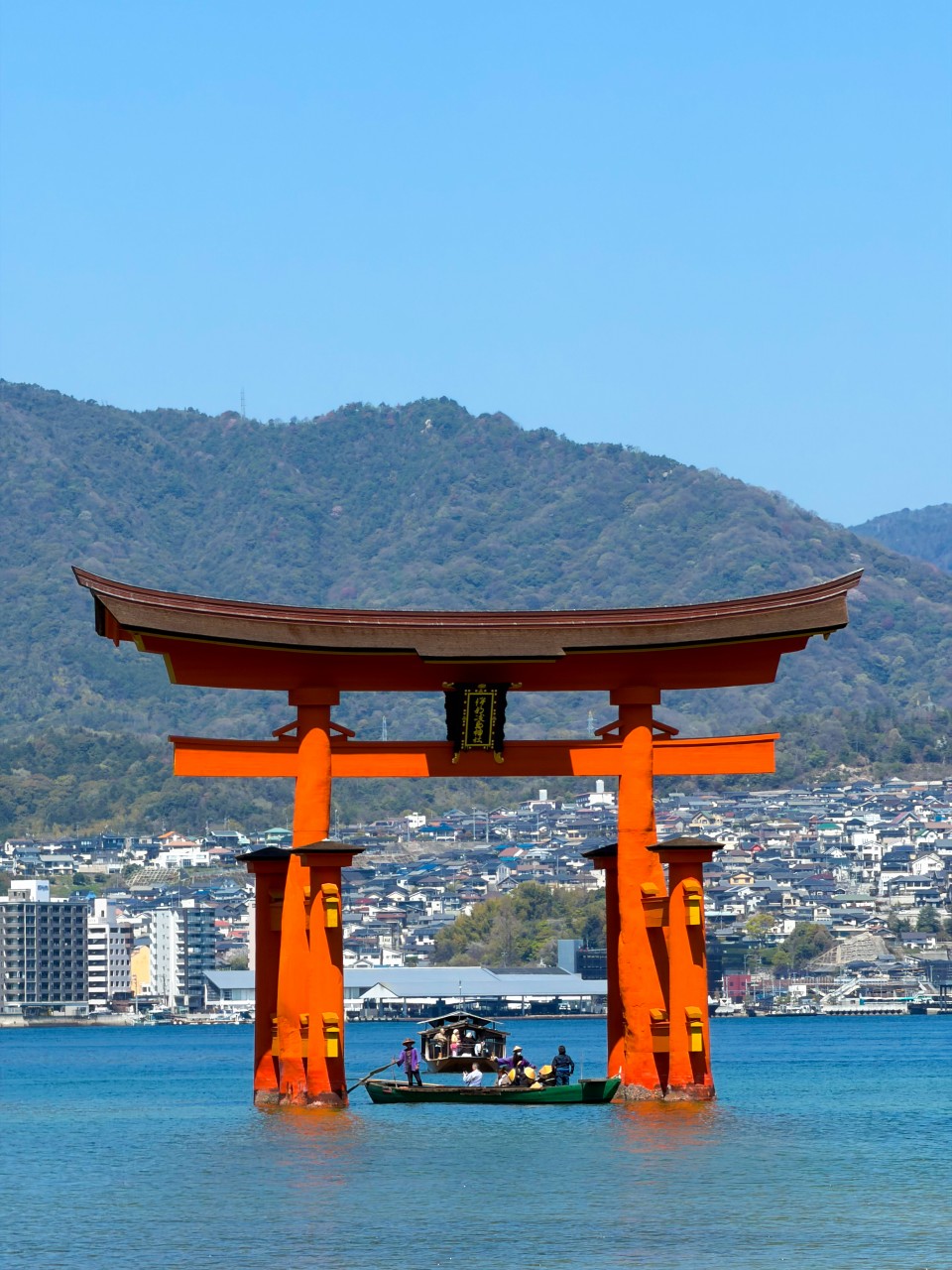 アップロード画像