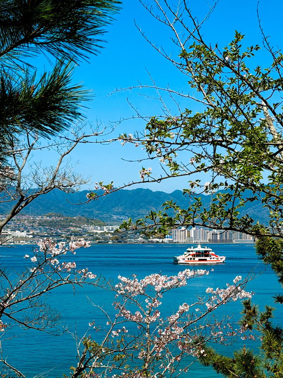 アップロード画像