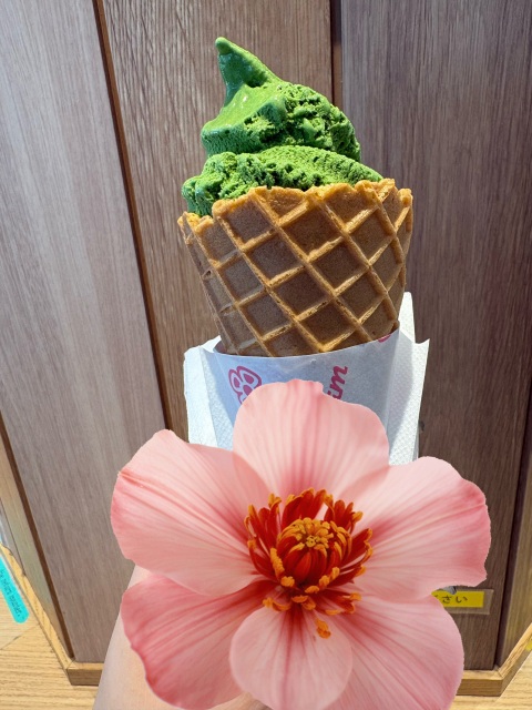 写メ