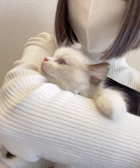 写メ