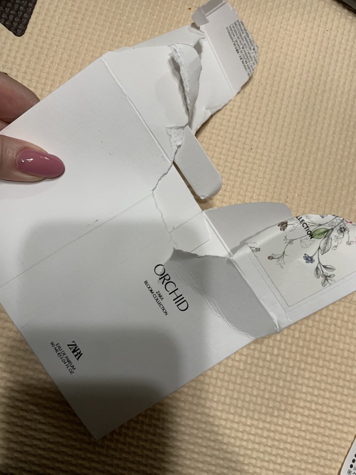 アップロード画像