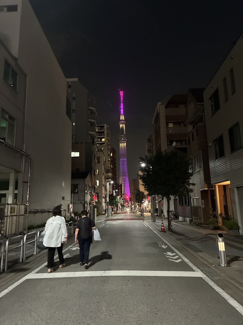 アップロード画像