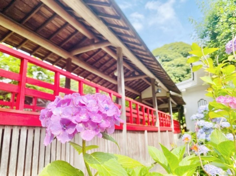 写メ