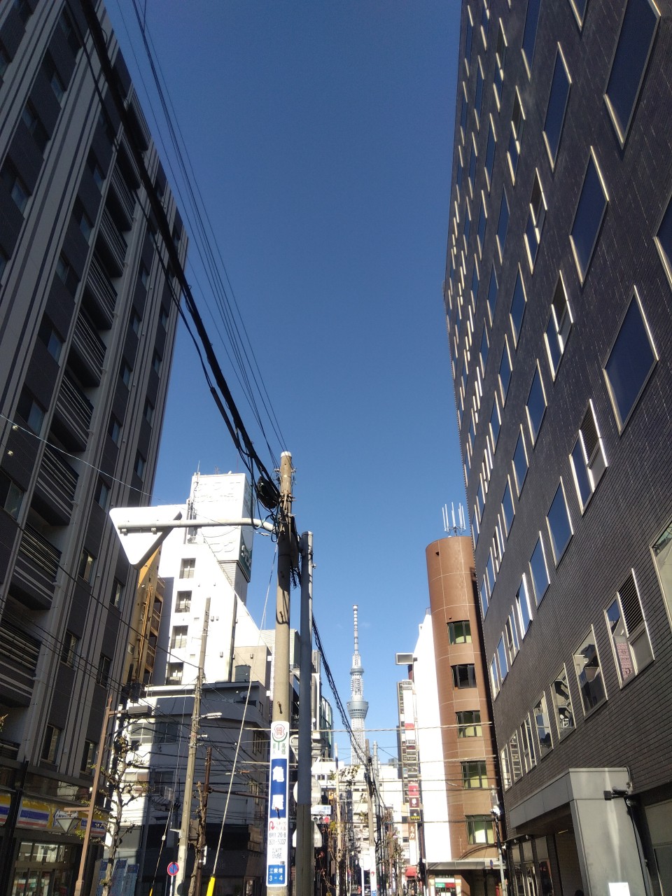 アップロード画像