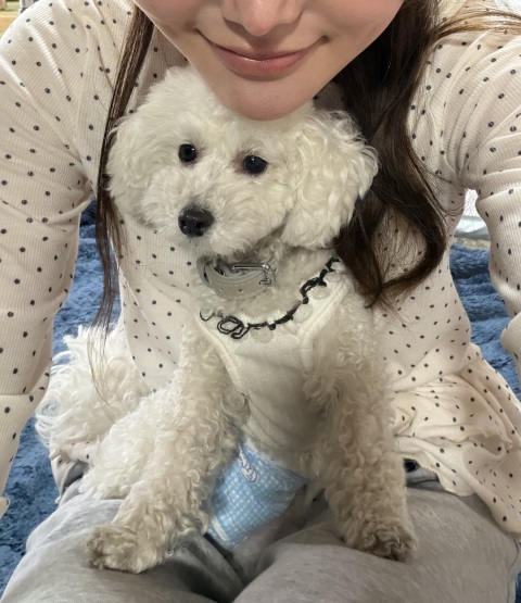 写メ