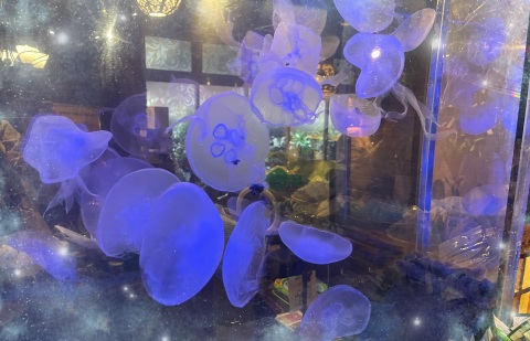 写メ
