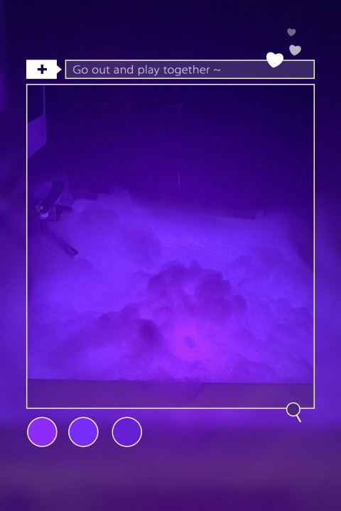 写メ