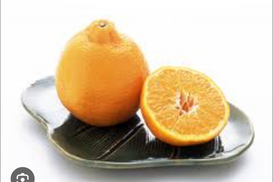 アップロード画像