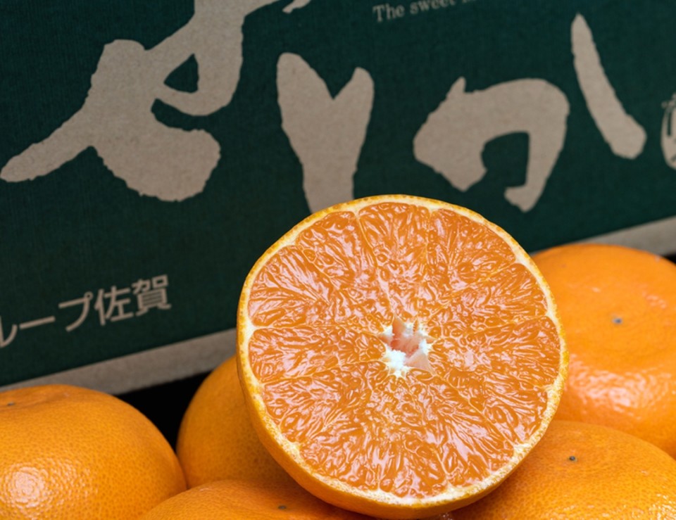 アップロード画像