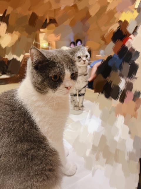 写メ