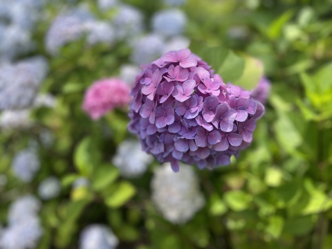写メ