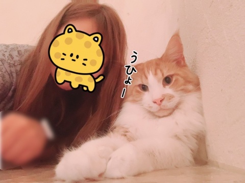写メ