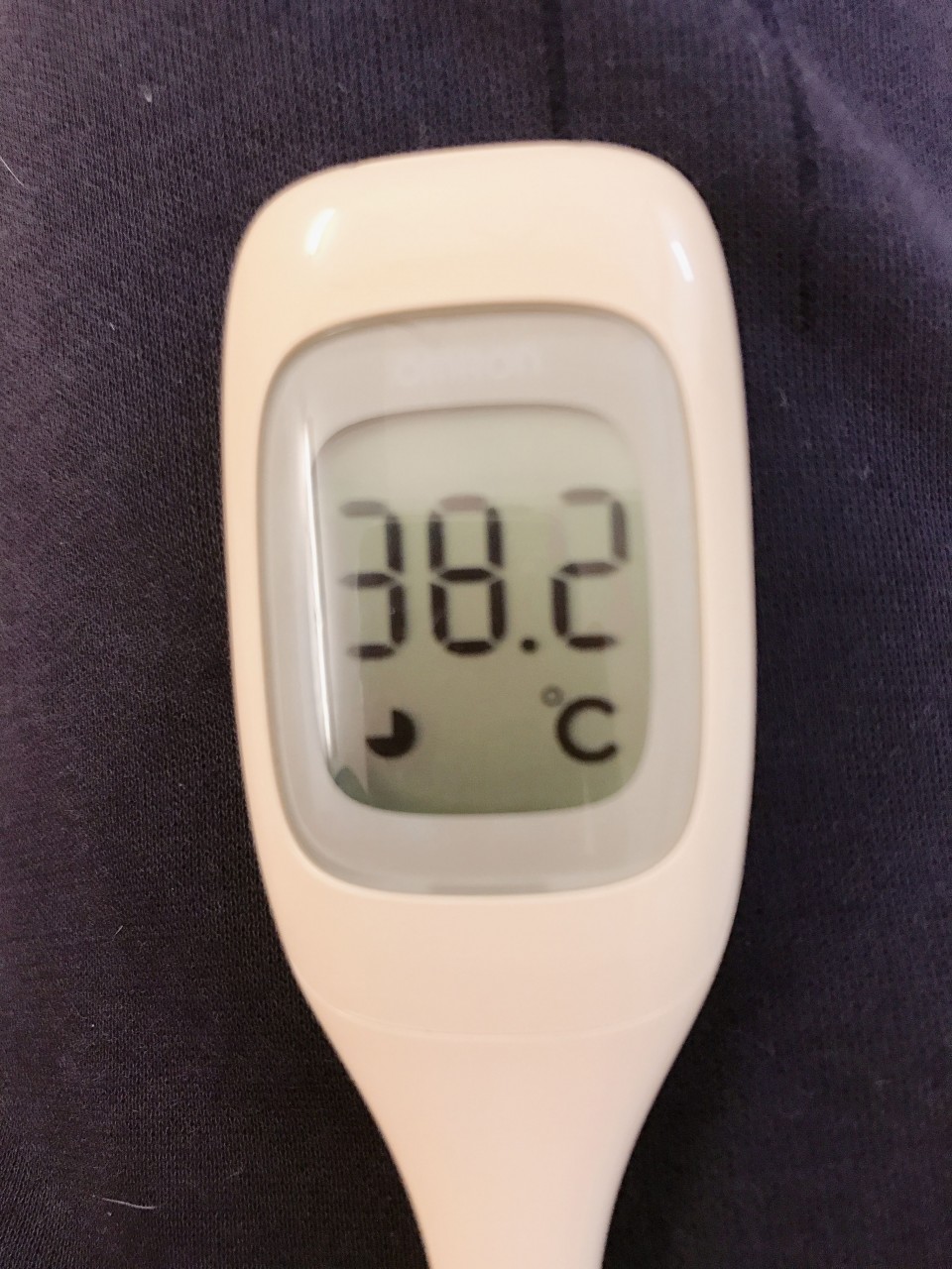 アップロード画像