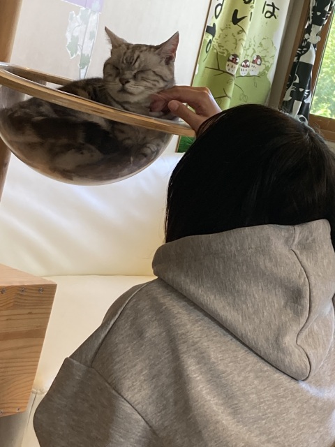 写メ