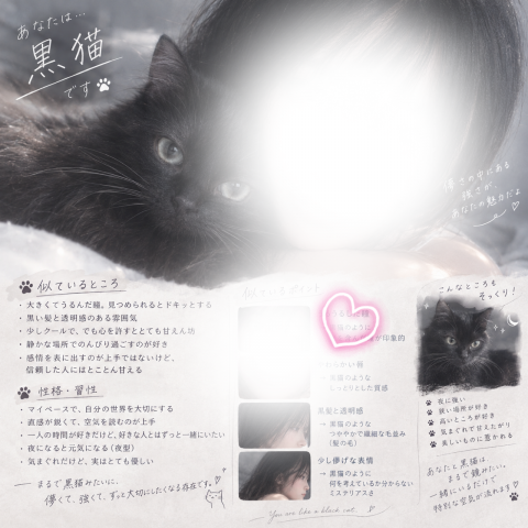 写メ