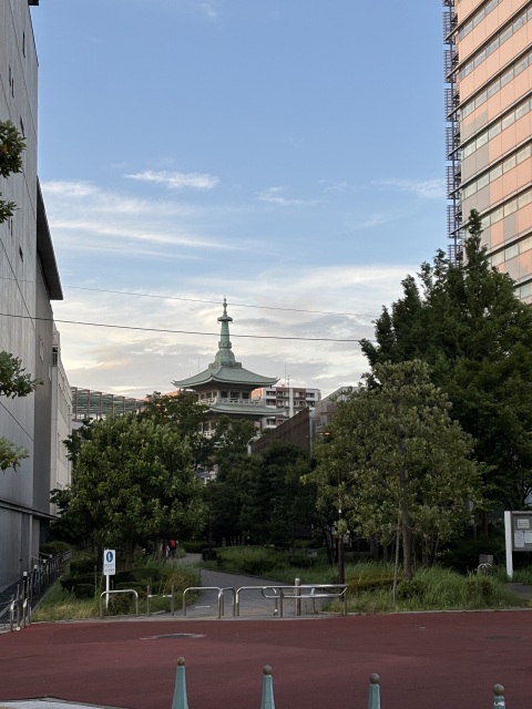写メ