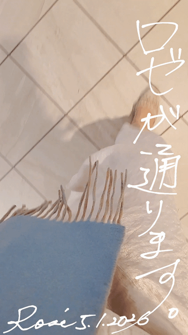 写メ