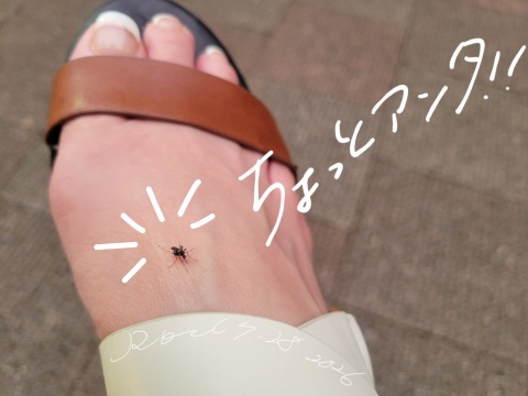 写メ