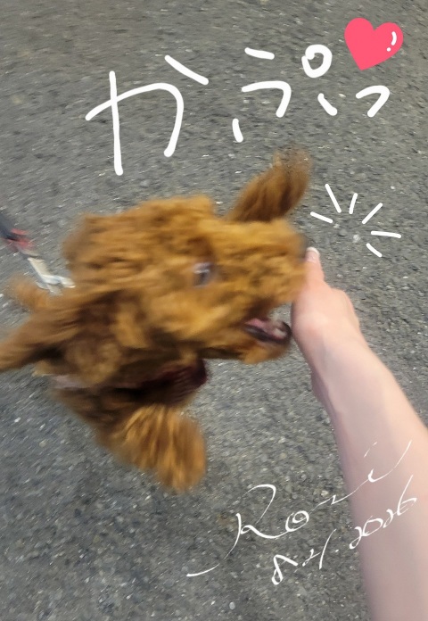写メ