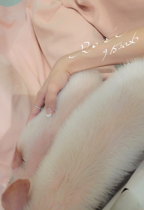 写メ