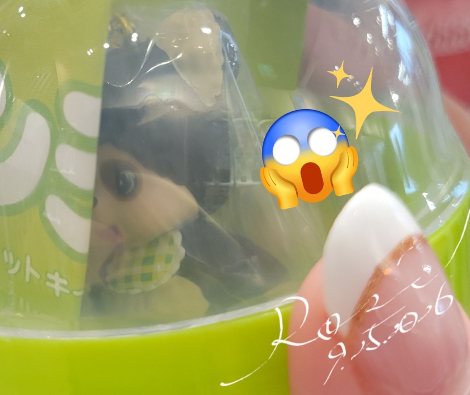 アップロード画像