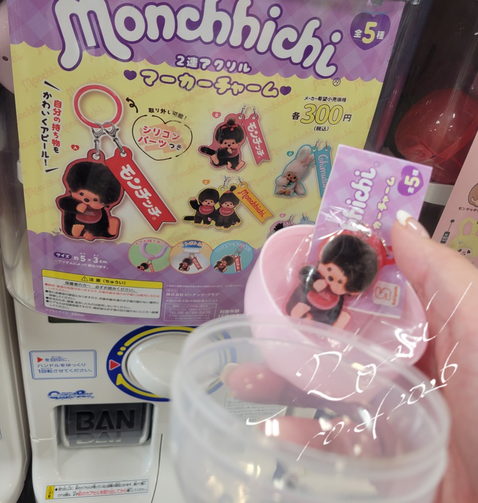 アップロード画像