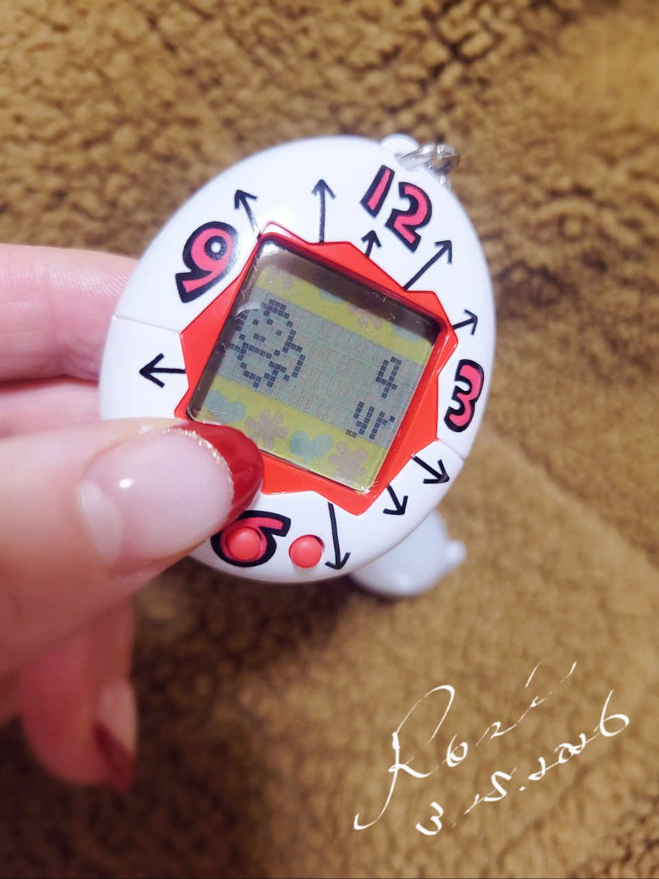 アップロード画像