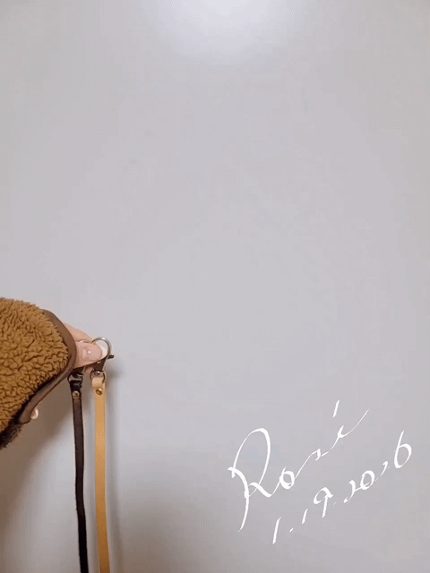 アップロード画像