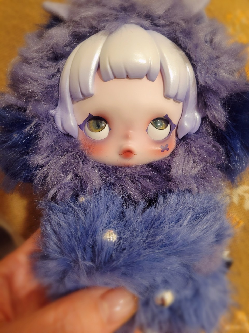 アップロード画像